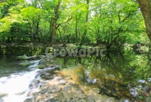 도솔천, 도솔계곡, 선운사, 여름, 녹색, 사진,이미지,일러스트,캘리그라피 - sinsy작가 크라우드픽 - 저작권 걱정 없는 상업용 이미지