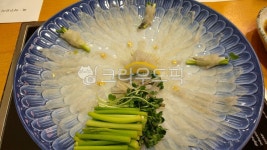 음식, 복어회, 회, 스시, food, 사진,이미지,일러스트,캘리그라피 - Nmomolib작가 크라우드픽 - 저작권 걱정 없는 상업용 이미지