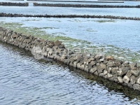 물, water, 제주도, 오조포구, 돌담, 사진,이미지,일러스트,캘리그라피 - 겨울의추억작가 크라우드픽 - 저작권 걱정 없는 상업용 이미지