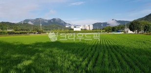 학하동, 구암동, 논, 풍경, 산, 사진,이미지,일러스트,캘리그라피 - west vlue작가 크라우드픽 - 저작권 걱정 없는 상업용 이미지