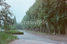 경주산림환경연구원, 경주명소, 경주풍경, 나무, 스냅, 사진,이미지,일러스트,캘리그라피 - hongban작가 크라우드픽 - 저작권 걱정 없는 상업용... 