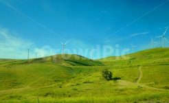 풍차, 초원, 언덕, 하늘, 자연, 사진,이미지,일러스트,캘리그라피 - 매력덩어리연서작가 크라우드픽 - 저작권 걱정 없는 상업용 이미지