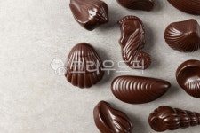 시쉘초콜릿, 씨쉘초콜릿, 초콜릿, 조개초콜릿, 조개모양, 사진,이미지,일러스트,캘리그라피 - Ntjdals2245작가 크라우드픽 - 저작권 걱정 없는... 