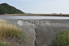 순천, 순천만, 습지, 산, 야외, 사진,이미지,일러스트,캘리그라피 - vista작가 크라우드픽 - 저작권 걱정 없는 상업용 이미지