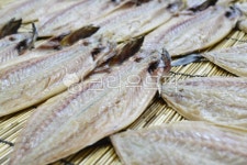 음식, 건어물, 수산물, 시장, 어시장, 사진,이미지,일러스트,캘리그라피 - Nstory24s작가 크라우드픽 - 저작권 걱정 없는 상업용 이미지