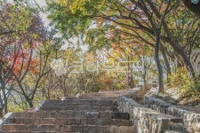 와룡공원길, 산책, 산책로, 서울, 한양도성, 사진,이미지,일러스트,캘리그라피 - imlover작가 크라우드픽 - 저작권 걱정 없는 상업용 이미지