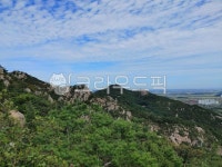 용봉산, 홍성용봉산, 산, 바위, 경치, 사진,이미지,일러스트,캘리그라피 - pswtravel작가 크라우드픽 - 저작권 걱정 없는 상업용 이미지