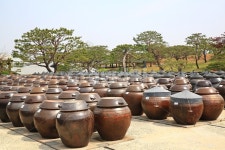 경기, 안성, 서일농원, 장독대, 항아리, 사진,이미지,일러스트,캘리그라피 - 영산공작가 크라우드픽 - 저작권 걱정 없는 상업용 이미지