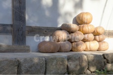 가을, 호박, 수확, 따스함, 댓돌, 사진,이미지,일러스트,캘리그라피 - 솔나무작가 크라우드픽 - 저작권 걱정 없는 상업용 이미지