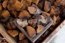 한약, 약재, 약용, 작물, 수확, 사진,이미지,일러스트,캘리그라피 - 함께사는세상작가 크라우드픽 - 저작권 걱정 없는 상업용 이미지