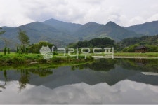 nature, 자연, water, 물, outdoors, 사진,이미지,일러스트,캘리그라피 - 영산공작가 크라우드픽 - 저작권 걱정 없는 상업용 이미지