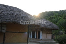 옛날집, 초가집, 초가, 초가지붕, 볏짚, 사진,이미지,일러스트,캘리그라피 - 청랑작가 크라우드픽 - 저작권 걱정 없는 상업용 이미지