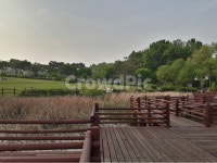 공원, 호수위, 푸른들판, 갈대, 나무다리, 사진,이미지,일러스트,캘리그라피 - 사진찍는곰탱이작가 크라우드픽 - 저작권 걱정 없는 상업용 이미지