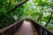 자연, nature, 옥외, outdoors, 산책, 사진,이미지,일러스트,캘리그라피 - studio H작가 크라우드픽 - 저작권 걱정 없는 상업용 이미지