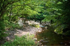 지리산, 국립공원, 계곡, 시냇물, 피서, 사진,이미지,일러스트,캘리그라피 - 오이그라피작가 크라우드픽 - 저작권 걱정 없는 상업용 이미지