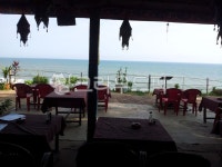 인도, 바르깔라, 해변, varkala, 식당, 사진,이미지,일러스트,캘리그라피 - 일러일러작가 크라우드픽 - 저작권 걱정 없는 상업용 이미지