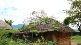 초가, 옛날집, 짚, 초가집, 박, 사진,이미지,일러스트,캘리그라피 - HUSHE작가 크라우드픽 - 저작권 걱정 없는 상업용 이미지