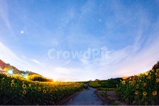 옥외, 자연, 하늘, 은하수, 야경, 사진,이미지,일러스트,캘리그라피 - IT보부상작가 크라우드픽 - 저작권 걱정 없는 상업용 이미지