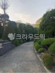길, 나무, 공원, 자연, 생각, 사진,이미지,일러스트,캘리그라피 - 새댁작가 크라우드픽 - 저작권 걱정 없는 상업용 이미지