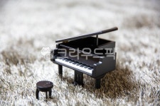 피아노, piano, grandpiano, 그랜드피아노, 악기, 사진,이미지,일러스트,캘리그라피 - 혀니포토작가 크라우드픽 - 저작권 걱정 없는 상업용... 