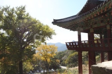 한옥처마, 숲속의한옥, 단풍, 산속, 풍경, 사진,이미지,일러스트,캘리그라피 - 레옹이작가 크라우드픽 - 저작권 걱정 없는 상업용 이미지