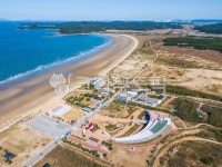 신두리사구, 신두리해수욕장, 해안, 해변, 사구, 사진,이미지,일러스트,캘리그라피 - cstrike작가 크라우드픽 - 저작권 걱정 없는 상업용 이미지