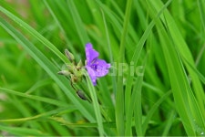 광주, 서구, 공원, 풍암저수지, 풍암공원, 사진,이미지,일러스트,캘리그라피 - 영산공작가 크라우드픽 - 저작권 걱정 없는 상업용 이미지