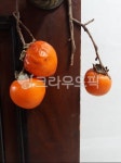 음식, food, 과일, 감, 홍시, 사진,이미지,일러스트,캘리그라피 - Nmohani66작가 크라우드픽 - 저작권 걱정 없는 상업용 이미지