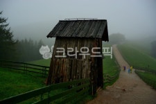 목장, 양때목장, 대관령양때목장, 나무, 식물, 사진,이미지,일러스트,캘리그라피 - 깨비선생작가 크라우드픽 - 저작권 걱정 없는 상업용 이미지