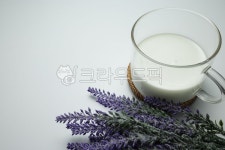 우유, 흰우유, 건강한, 희, 화이트, 사진,이미지,일러스트,캘리그라피 - 스튜디오 CHALLA작가 크라우드픽 - 저작권 걱정 없는 상업용 이미지