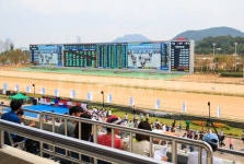 경마장, 경마, 과천, 도박, 경마공원 사진, 이미지 - sinsy작가 가장 한국적인 스톡 사진 - 크라우드픽