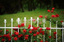 순천만국가정원1호, 테마공원, 자연생태공원, 자연, 옥외, 사진,이미지,일러스트,캘리그라피 - pandora4077작가 크라우드픽 - 저작권 걱정... 