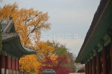 서울, 명륜동, 성균관, 유림회관, 건축물, 사진,이미지,일러스트,캘리그라피 - imlover작가 크라우드픽 - 저작권 걱정 없는 상업용 이미지