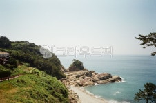 해수욕장, 나무, 여름, sea, sumer, 사진,이미지,일러스트,캘리그라피 - Nkjhgasdf963작가 크라우드픽 - 저작권 걱정 없는 상업용 이미지