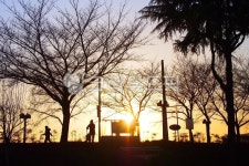 노을, 사람, 내무, 풍경, 빛, 사진,이미지,일러스트,캘리그라피 - film.00001작가 크라우드픽 - 저작권 걱정 없는 상업용 이미지