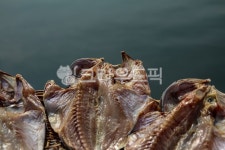 어시장, 수산물, 생선, 건어물, 맛있는, 사진,이미지,일러스트,캘리그라피 - 조하운해작가 크라우드픽 - 저작권 걱정 없는 상업용 이미지