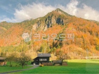 스위스, 인터라켄, 그린텔발트, 자연, 가을, 사진,이미지,일러스트,캘리그라피 - siromom작가 크라우드픽 - 저작권 걱정 없는 상업용 이미지