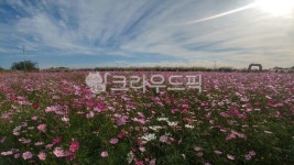 자연, nature, field, outdoors, 들, 사진,이미지,일러스트,캘리그라피 - 산곡93작가 크라우드픽 - 저작권 걱정 없는 상업용 이미지
