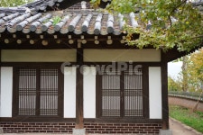 한옥, 전통, 가옥, 양반집, 단풍, 사진,이미지,일러스트,캘리그라피 - 쏭이대디작가 크라우드픽 - 저작권 걱정 없는 상업용 이미지