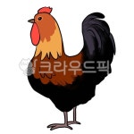 닭, 장닭, 치킨, 새, 그림, 사진,이미지,일러스트,캘리그라피 - 슈어작가 크라우드픽 - 저작권 걱정 없는 상업용 이미지