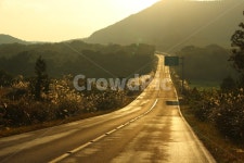 제주도, 제주, 금백조로, road, 도로, 사진,이미지,일러스트,캘리그라피 - Nghkwjdtkfkd2작가 크라우드픽 - 저작권 걱정 없는 상업용 이미지