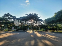 outdoors, 옥외, park, 공원, bench, 사진,이미지,일러스트,캘리그라피 - DownhillerDH작가 크라우드픽 - 저작권 걱정 없는 상업용 이미지