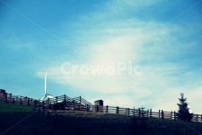 하늘, 대관령, 나무, 자연, 데크, 사진,이미지,일러스트,캘리그라피 - 유실장작가 크라우드픽 - 저작권 걱정 없는 상업용 이미지