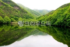 주산지, 청송, 경북청송, 호수, 연못, 사진,이미지,일러스트,캘리그라피 - 고운경작가 크라우드픽 - 저작권 걱정 없는 상업용 이미지