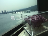 꽃, 드라이플라워, 광안대교, 바다, 하늘, 사진,이미지,일러스트,캘리그라피 - happyfirst작가 크라우드픽 - 저작권 걱정 없는 상업용 이미지