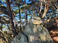 산, 숲, 풍경, 돌탑, 기도, 사진,이미지,일러스트,캘리그라피 - 민물장어작가 크라우드픽 - 저작권 걱정 없는 상업용 이미지
