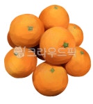 과일, 주황색, 음식, food, orange, 사진,이미지,일러스트,캘리그라피 - naya41작가 크라우드픽 - 저작권 걱정 없는 상업용 이미지