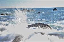 하늘, 바위, 바다, 파도, 자연, 사진,이미지,일러스트,캘리그라피 - 소나무작가 크라우드픽 - 저작권 걱정 없는 상업용 이미지