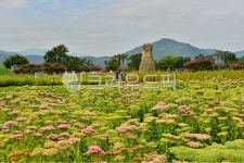 farm, 농장, rural, 농촌, plant, 사진,이미지,일러스트,캘리그라피 - 영산공작가 크라우드픽 - 저작권 걱정 없는 상업용 이미지