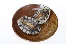 전복, 전복찜, 양식전복, 완도전복, 남해전복, 사진,이미지,일러스트,캘리그라피 - 톤앤코드작가 크라우드픽 - 저작권 걱정 없는 상업용 이미지